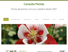Tablet Screenshot of consultaplantas.com